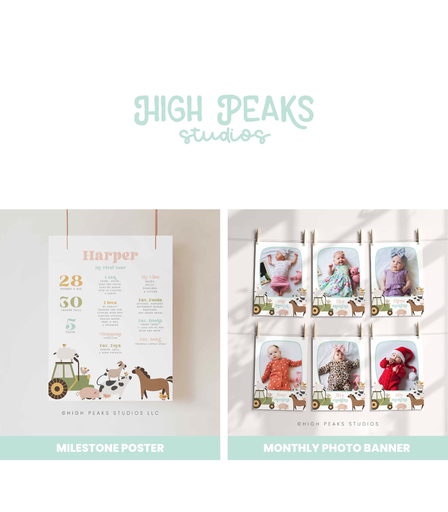 Modern Farm Birthday Bundle - Girl - High Peaks Studios