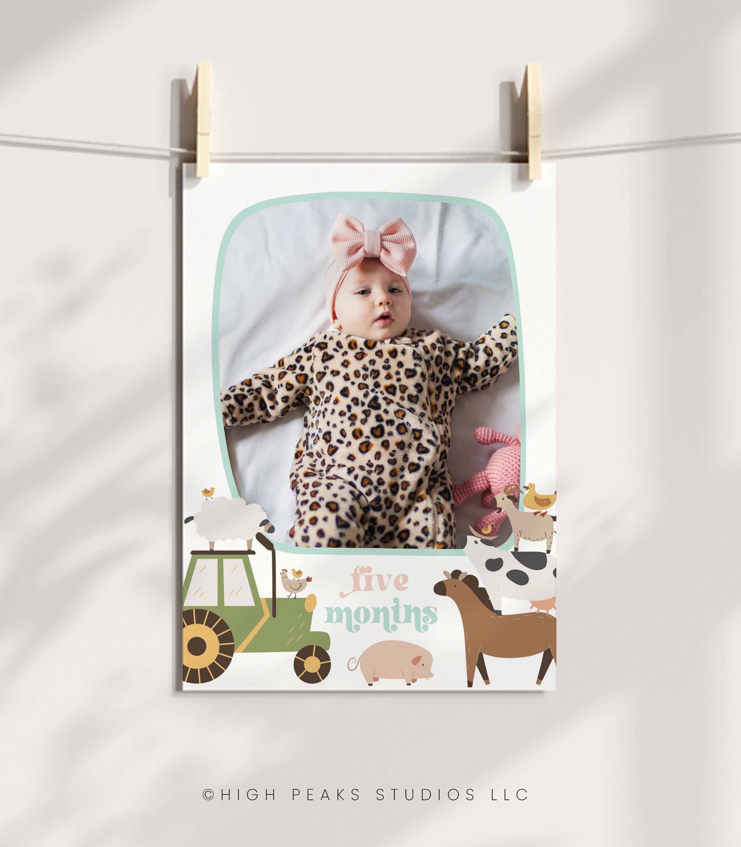 Farm Animal First Year Photo Banner - High Peaks Studios