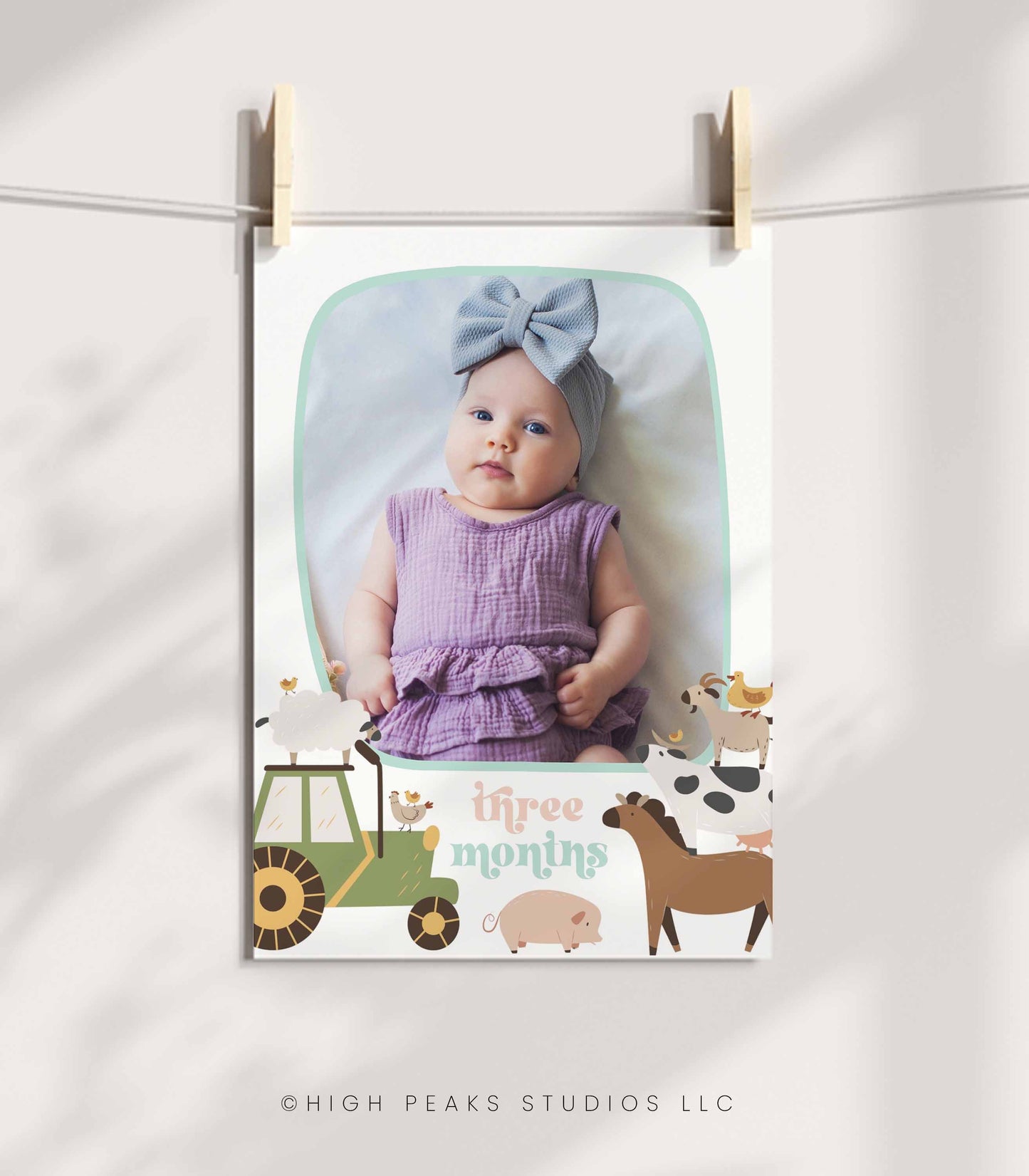 Farm Animal First Year Photo Banner - High Peaks Studios