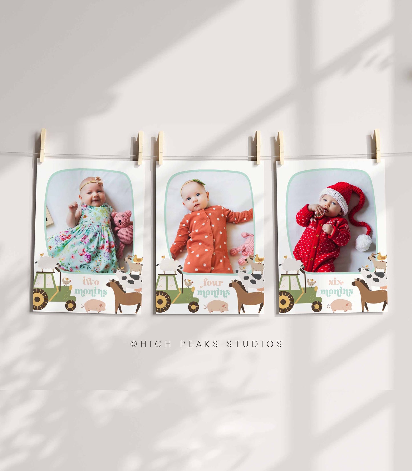Farm Animal First Year Photo Banner - High Peaks Studios