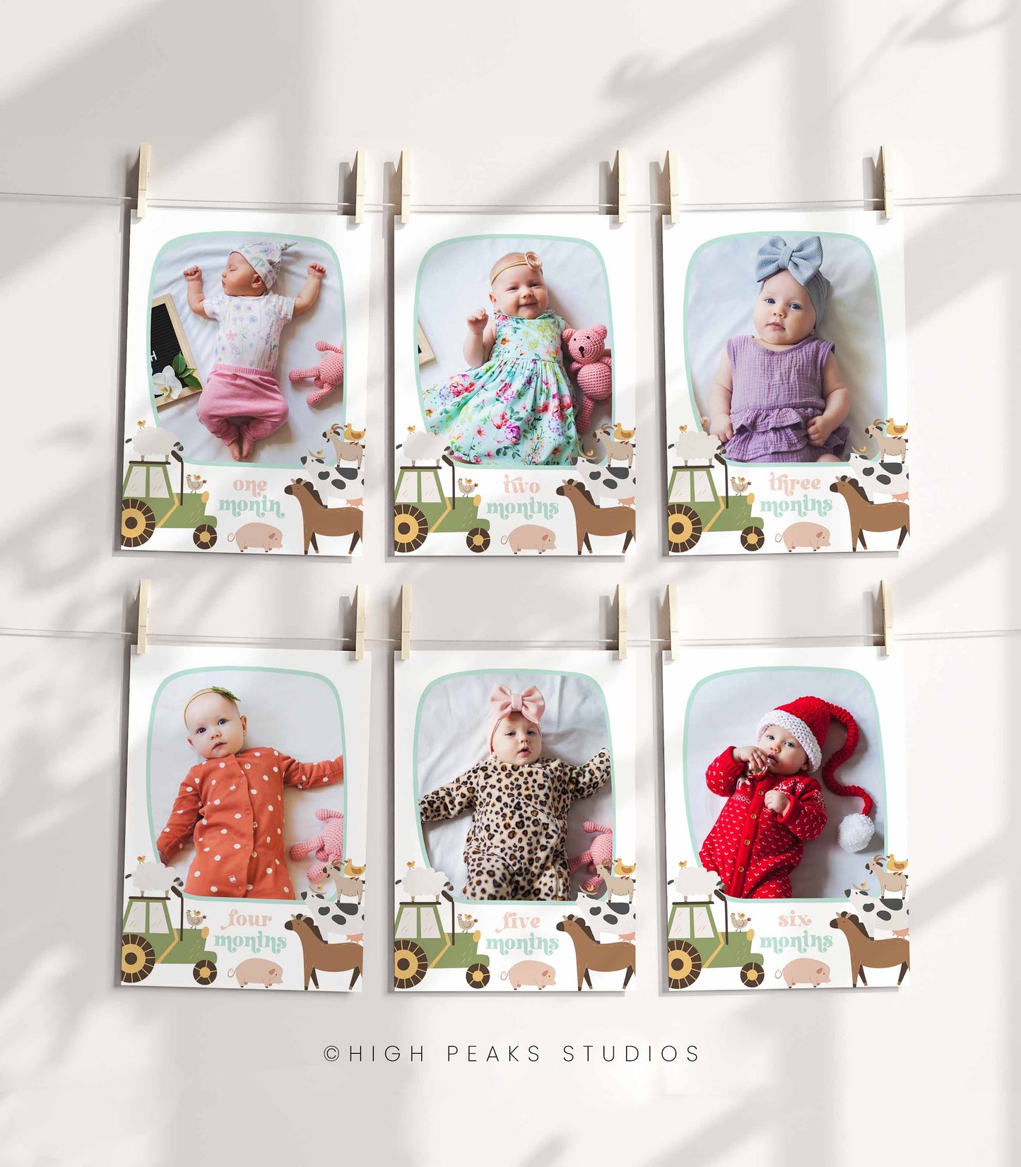 Farm Animal First Year Photo Banner - High Peaks Studios