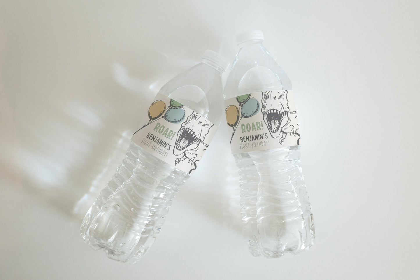 Dinosaur Party Water Bottle Label Printable - ANY AGE! - High Peaks Studios