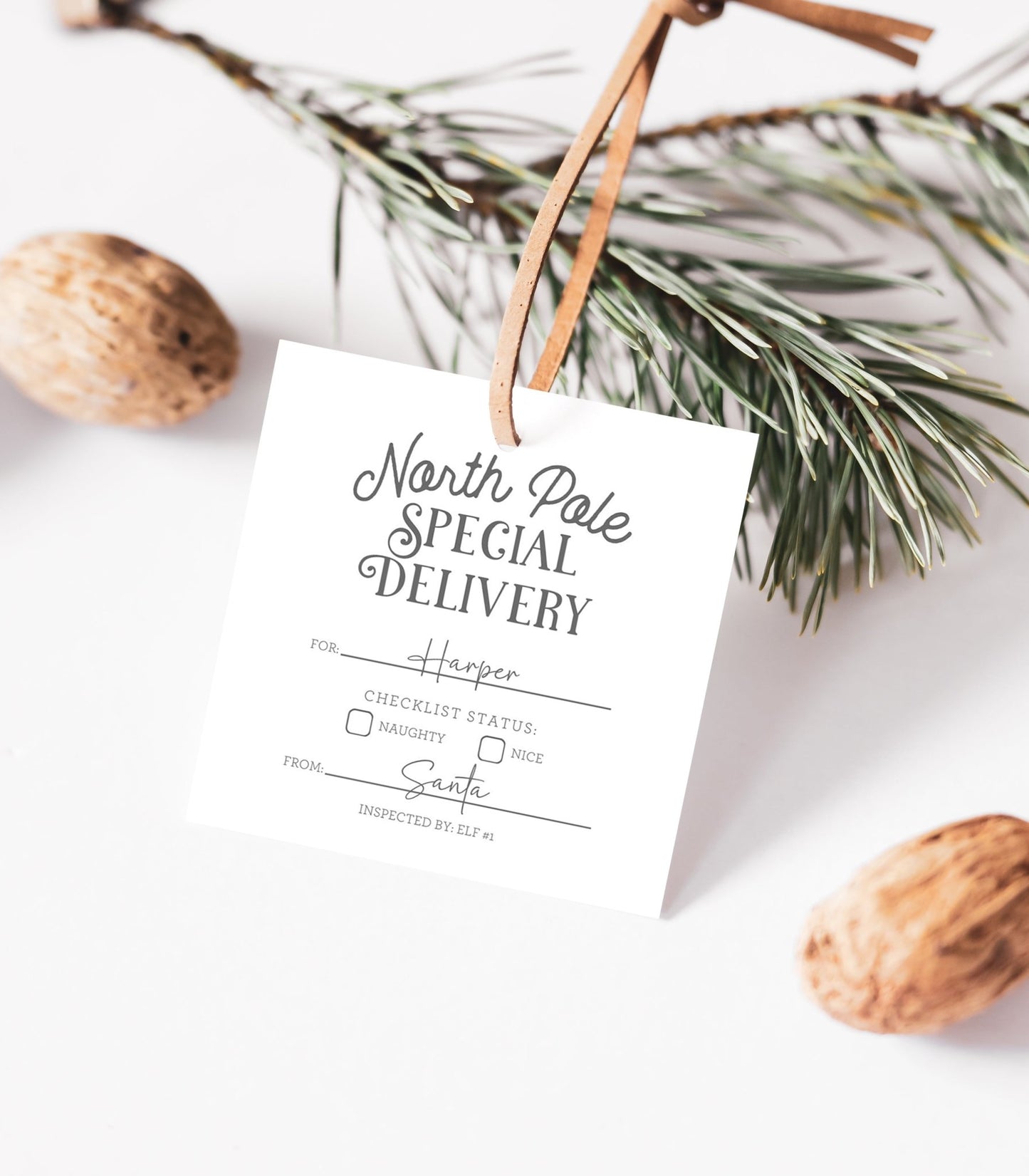 North Pole Special Delivery Gift Tag - High Peaks Studios