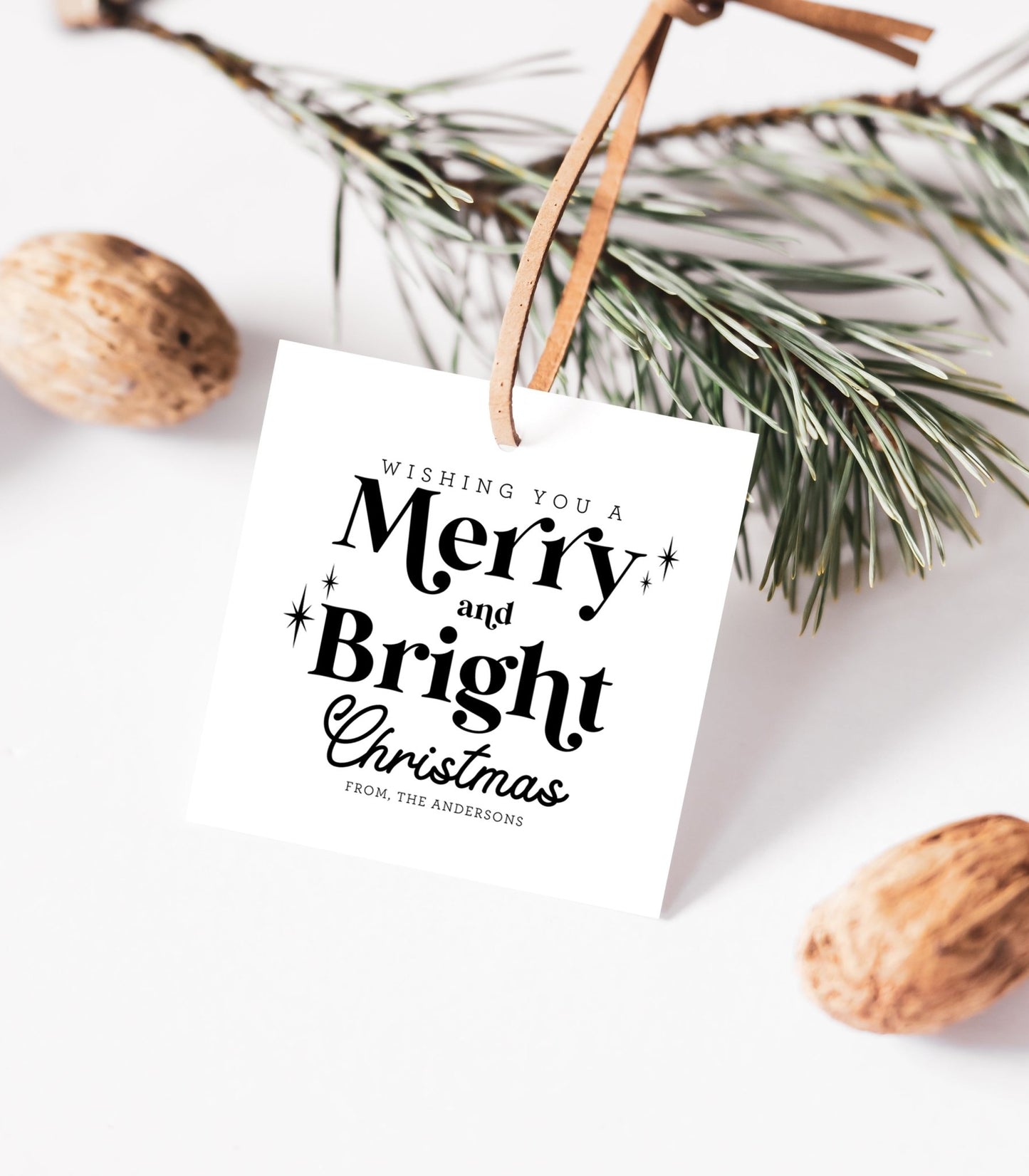 Wishing You a Merry And Bright Christmas Gift Tag Black and White - High Peaks Studios