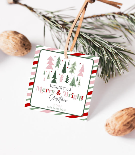 Wishing you a Merry & Bright Christmas Printable Gift Tag - High Peaks Studios
