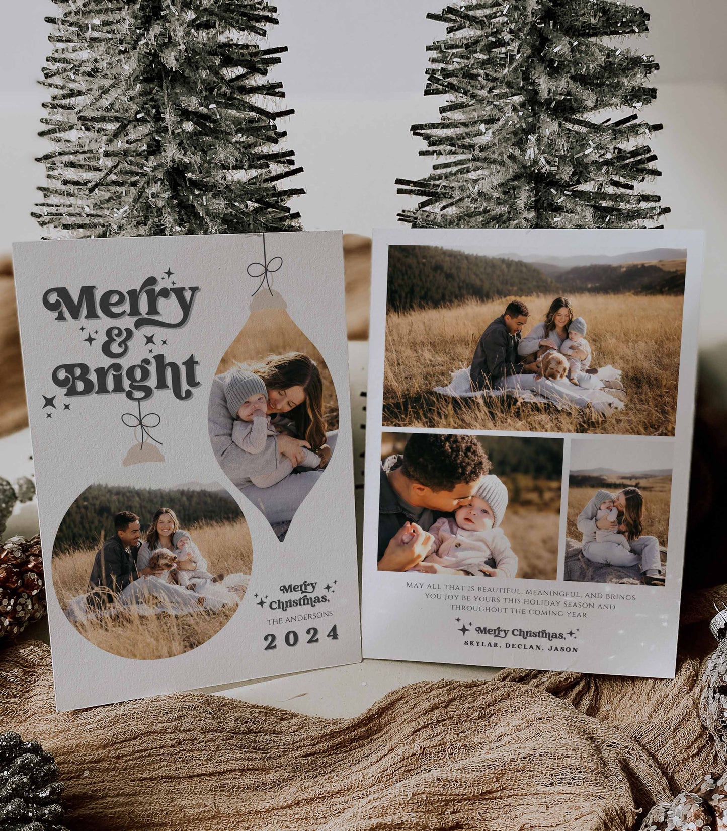 Ornament Photo Christmas Card - High Peaks Studios