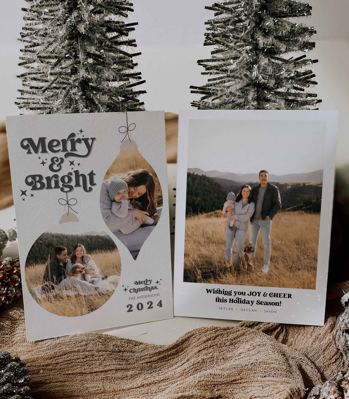 Ornament Photo Christmas Card - High Peaks Studios