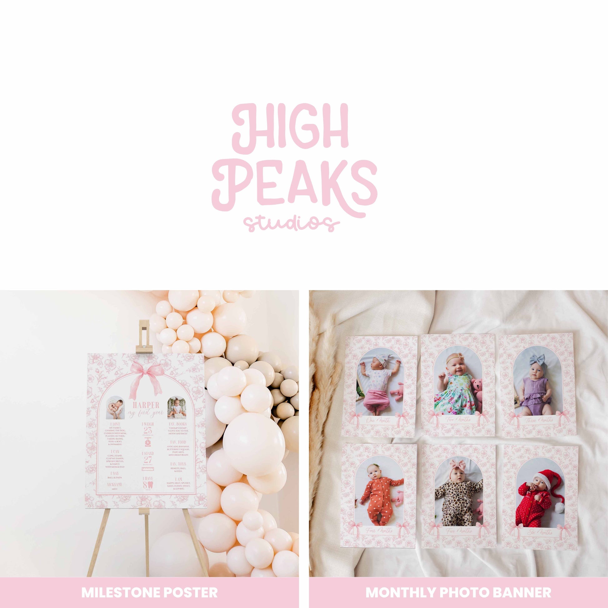 Floral Toile and Pink Bow First Birthday Bundle by High Peaks Studios
